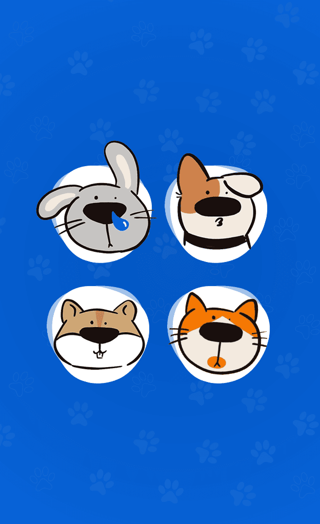 PawHub.vn – An “all-in-one” platform for pets with an intelligent AI assistant