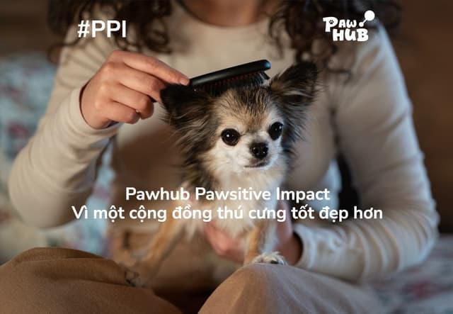 #PPI: PawHub Pawsitive Impact – Vì một cuộc sống tốt đẹp hơn cho thú cưng