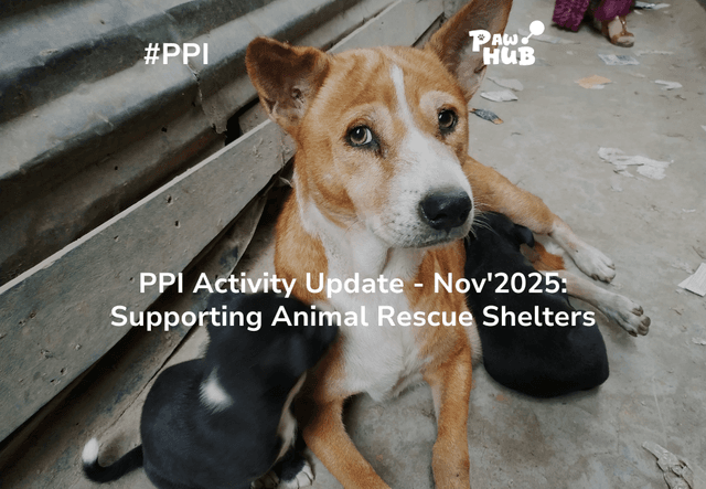 PPI Activity Update – Nov’2025: Supporting Animal Rescue Shelters
