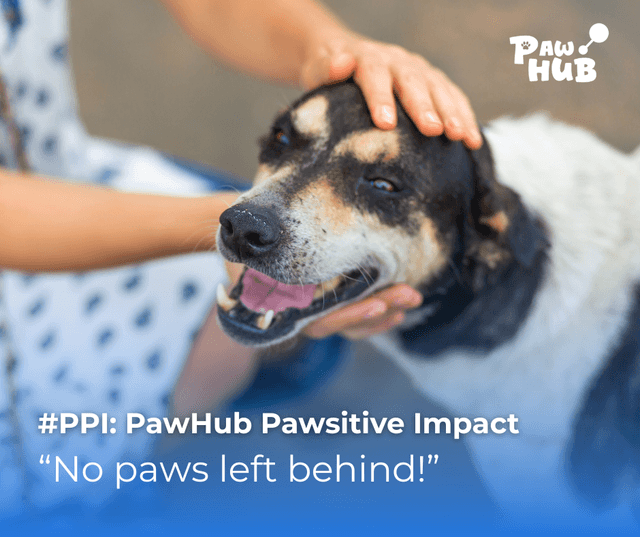 PPI – PawHub Pawsitive Impact: No paws left behind!