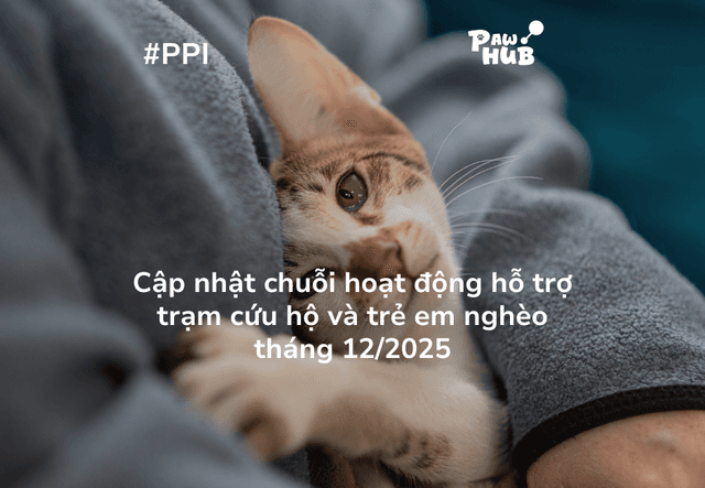 Pawhub cập nhật hoạt động cộng đồng #PPI tháng 12/25