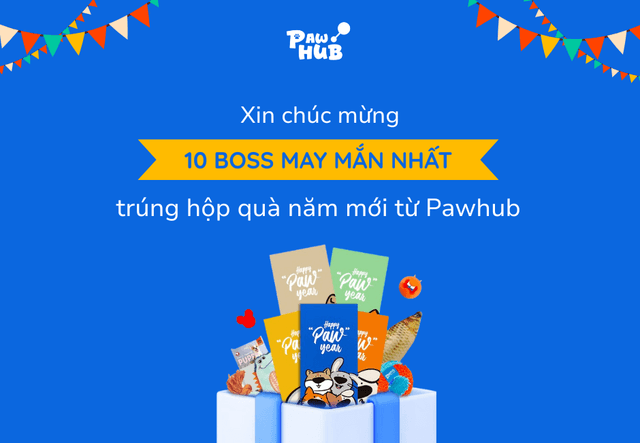 Kết quả chương trình Tạo hồ sơ thú cưng – Trúng quà may mắn